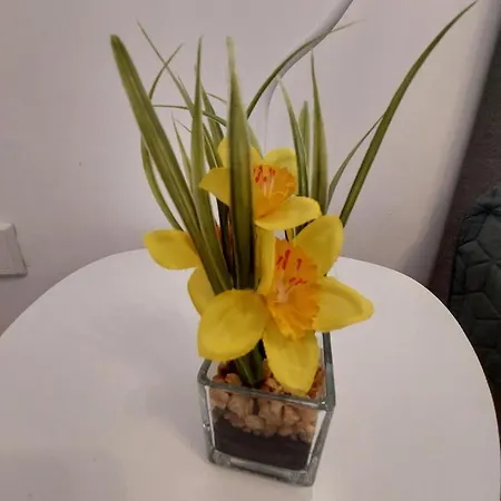 Silonce Bilstein - Отель